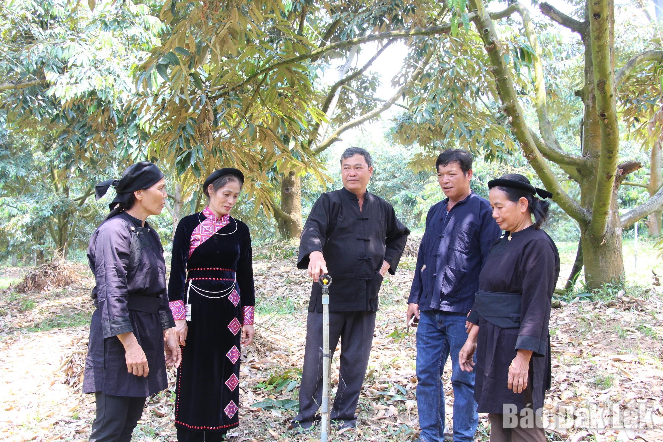 Anh minh hoa